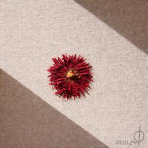 År.0 (feat. Bjørn Øyvind Bya)