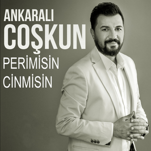 Perimisin Cinmisin