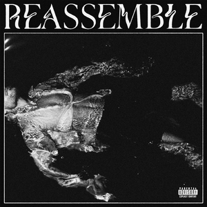 Reassemble
