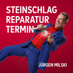 Steinschlagreparaturtermin (Partyversion)