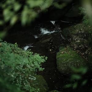 立夏