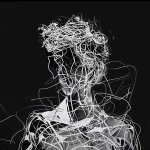 猫 老虎 被雨淋湿的小狗