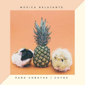 Inside Out (Sistema de Sueño)