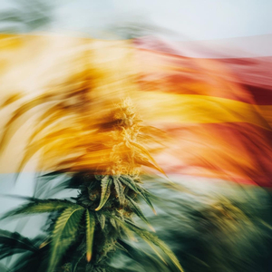 Die Perfekte Welle (Hoodtrap - Slowed)