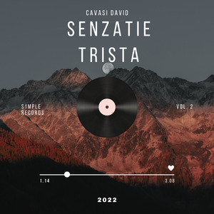 Senzație Tristă 2