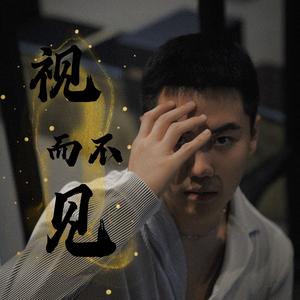 你就不要想起我