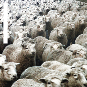 LSYB (feat. JP, sokodomo, viceversa, Untell) (sesåme Remix)