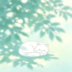 夏日舒缓助眠曲