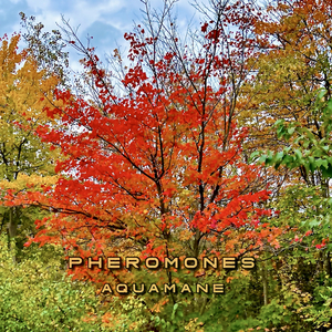 Pheromones