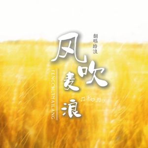 风吹麦浪