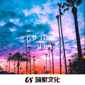 若梦（DJ旋律版）