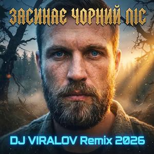 Засинає Чорний Ліс (Remix Bomba 2026)