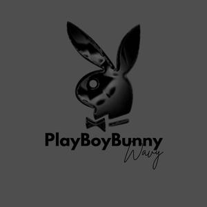 PlayBoyBunny