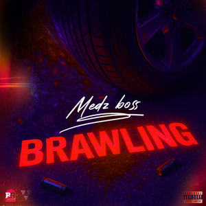 Brawling