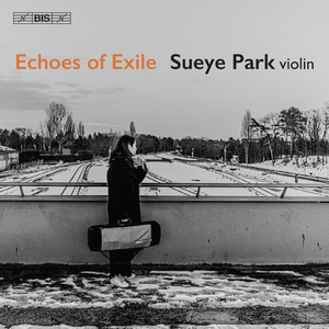 6 Sonatas for Solo Violin, Op. 27, No. 2 in A Minor: II. Malinconia