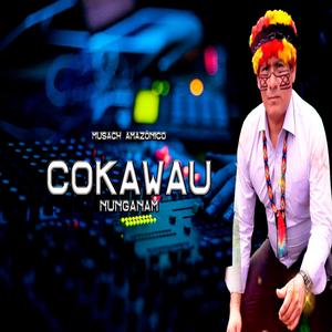 Musach amazónico Kawau Nunganam
