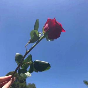 Uptown Funk (House Radio Remix)（翻自 Mark Ronson）