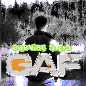DubVibe S.E.S