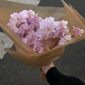 水星记 翻自郭顶（翻自 冷空拌芥末）