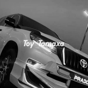 toy tamaxa （伴奏）新版