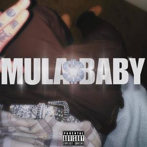 Mula baby