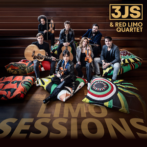 Ouderdom (feat. Red Limo Quartet)