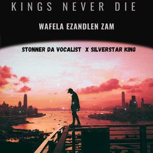 Wafela ezandlen zam (feat. Stonner da Vocalist)