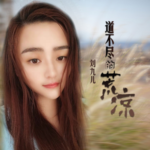 道不尽的荒凉 (DJ版)