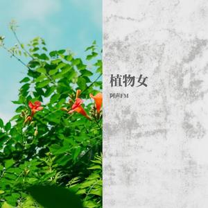 不再爱你（翻自卡西恩Cacien)