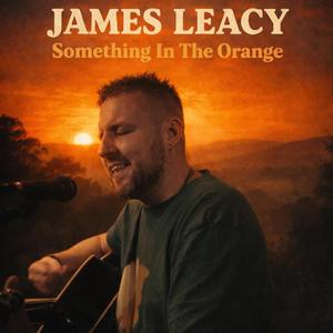 Something In The Orange (feat. Brendan Edwards)