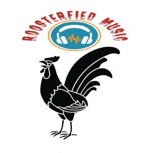 The Space Lizzard Project