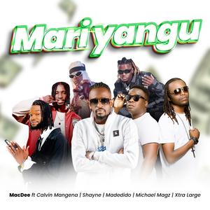 Mari yangu (feat. Madedido, Xtra Large, Shayne, Calvin Mangena & Michael Magz)