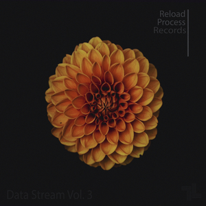 Observer (Traveltech Remix)