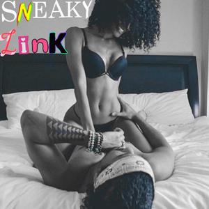Sneaky Link