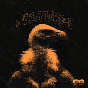 Vultures