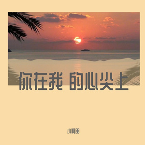 漂洋过海来看你