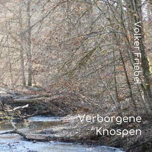 Verborgene Knospen (Single Edit)
