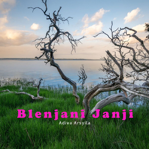 Blenjani Janji