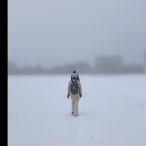 君のくれた傘は (2025.03)