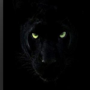 Barbares (Radio Edit)