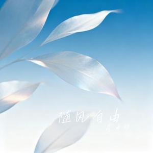 随风自由