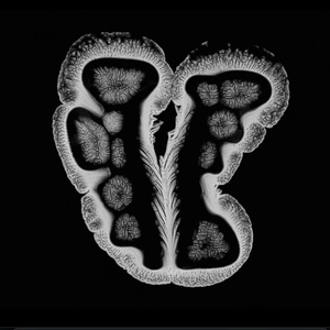 Mă Uitai La Răsărit