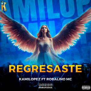 Regresaste (feat. Robalino Mc)