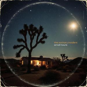 troubled, wildered, and worn