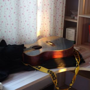 就让我在春风沉醉的夜晚老去