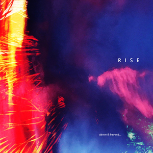 Rise