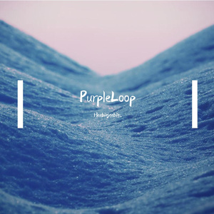 PurpleLoop