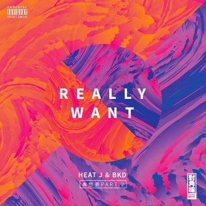 真想要part.2(sway remix)