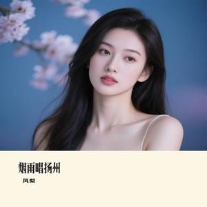 烟雨唱扬州 (凤梨 Remix)
