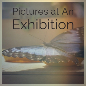 Two Galaxies Copulating